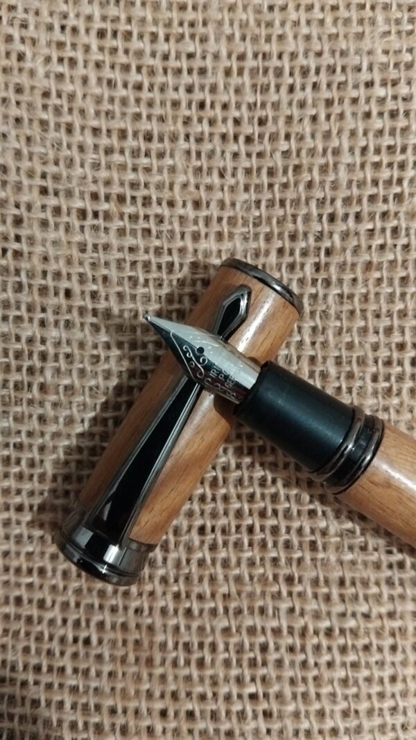Stylo Plume